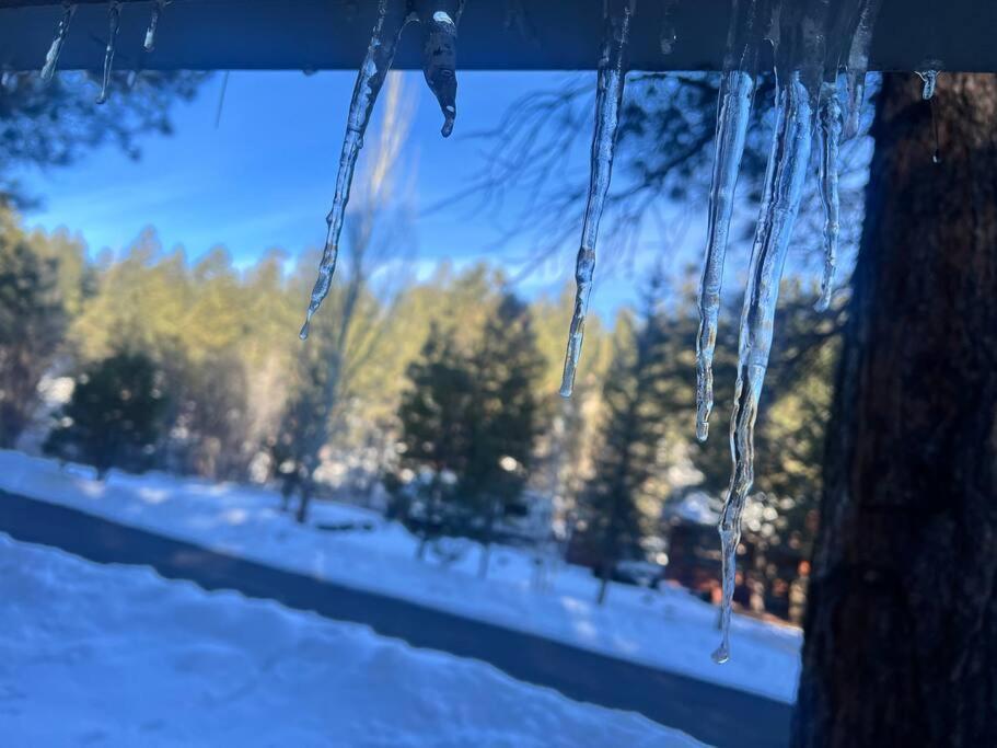 The Bluejay Cabin At Munds Park, Az! 塞多纳 外观 照片
