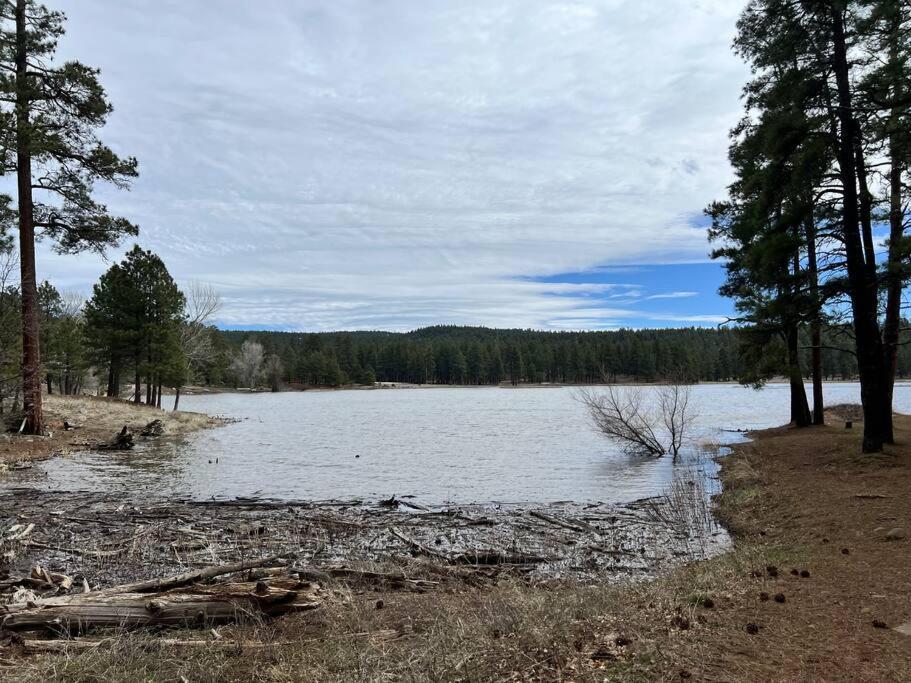 The Bluejay Cabin At Munds Park, Az! 塞多纳 外观 照片